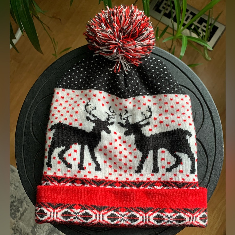 Details light-up holiday toque.